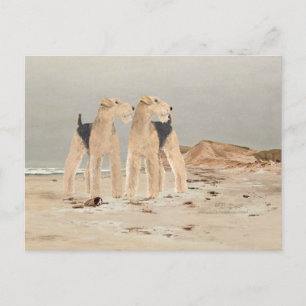 Cartão Postal Foggy Seaside