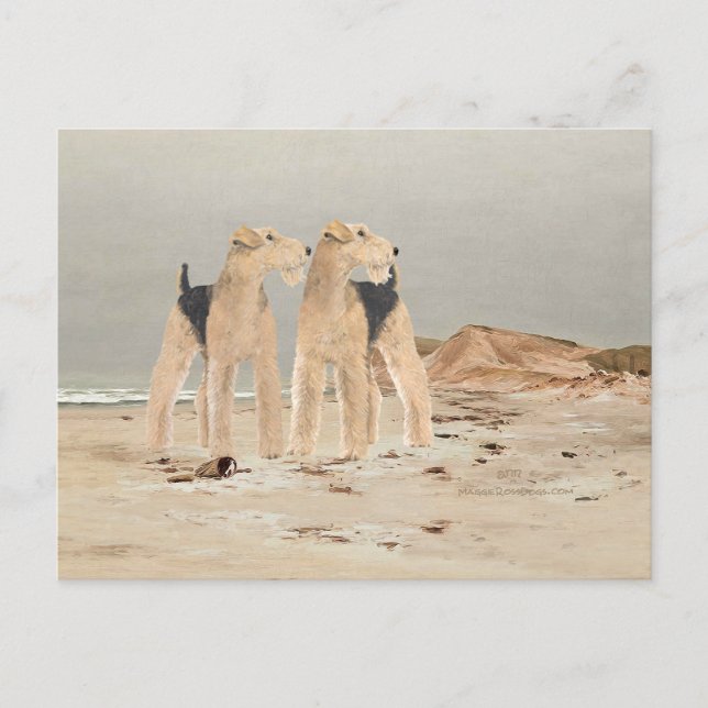 Cartão Postal Foggy Seaside (Frente)