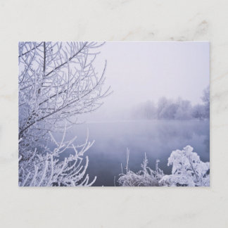 Cartão Postal Foggy Winter Day by the River