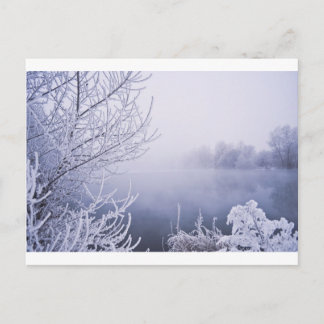 Cartão Postal Foggy Winter Day by the River