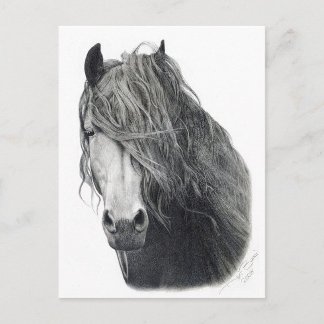 Cartão Postal Fogo (Frente)