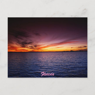 Cartão Postal Fogo Roxo