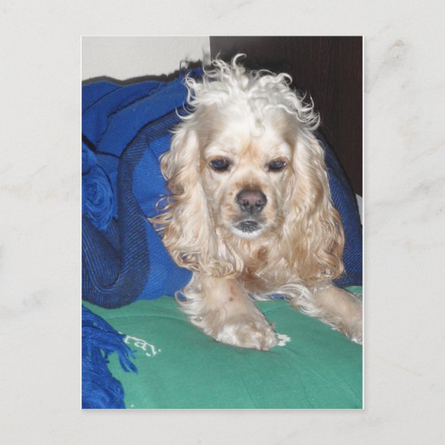 Cartão Postal Foi uma noite de duro (Frente)