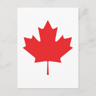 CARTÃO POSTAL FOLHA CANADENSE