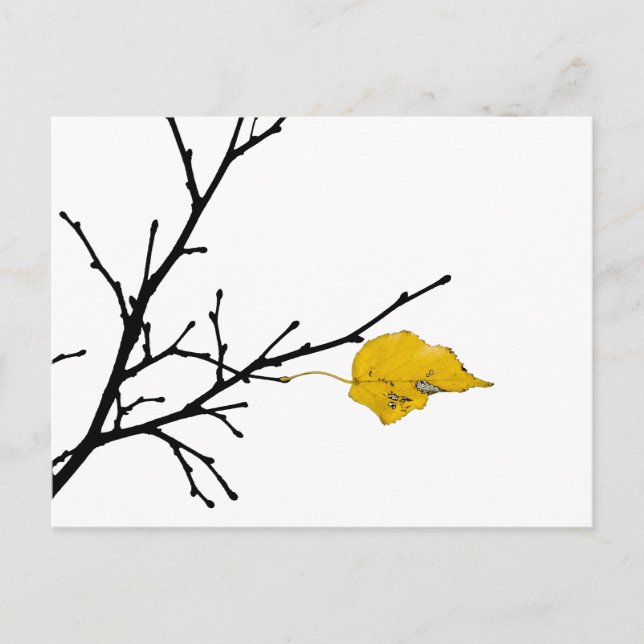 Cartão Postal Folha de Limão amarela (Frente)