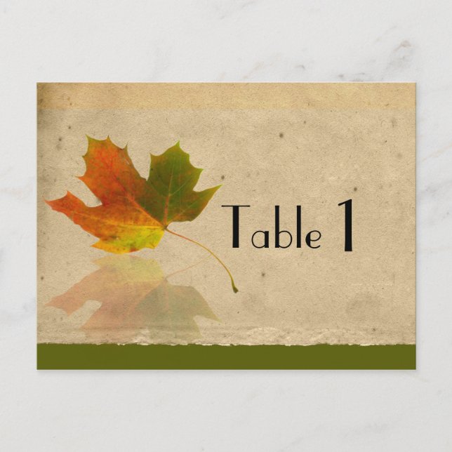 Cartão Postal Folha de Mapeamento de Queda no Número da Tabela d (Frente)