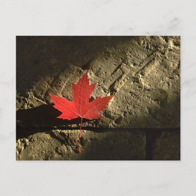Cartão Postal Folha de Mapeamento do Canadá (Frente)