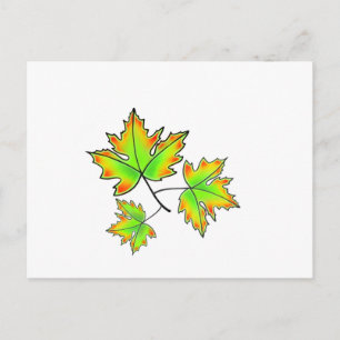 Cartão Postal Folha de Maple