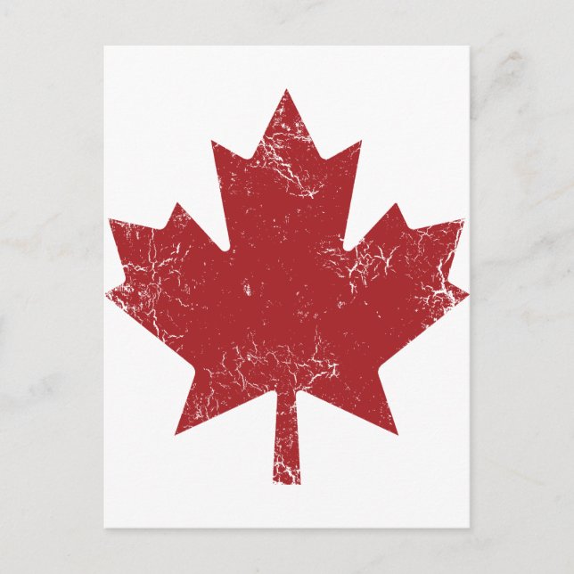 Cartão Postal Folha de Maple Canadiana (em aflição) (Frente)