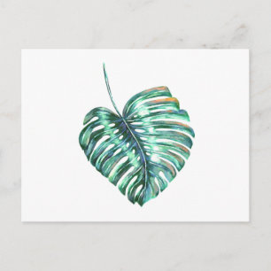 Cartão Postal Folha de monstera verde tropical