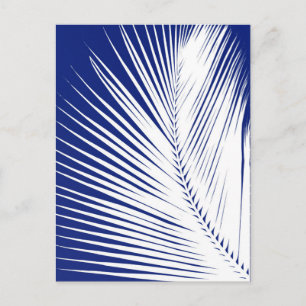 Cartão Postal Folha de palma - marinho azul e branco