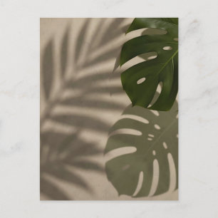 Cartão Postal Folha Tropical Minimalista de Monstera Verde Sombr