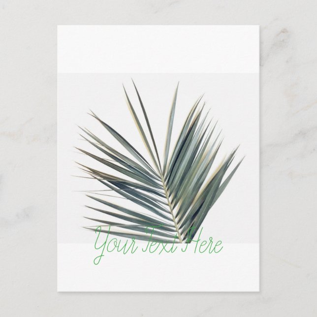 Cartão Postal Folha verde pálida (Frente)