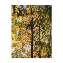 Folhagem Amarelo e Verde