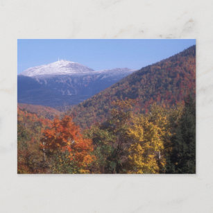 Cartão Postal Folhagem de Monte Washington Snow