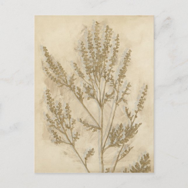 Cartão Postal Folhagem II (Frente)