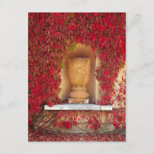 Cartão Postal Folhagem vermelha do outono, Nova Zelândia