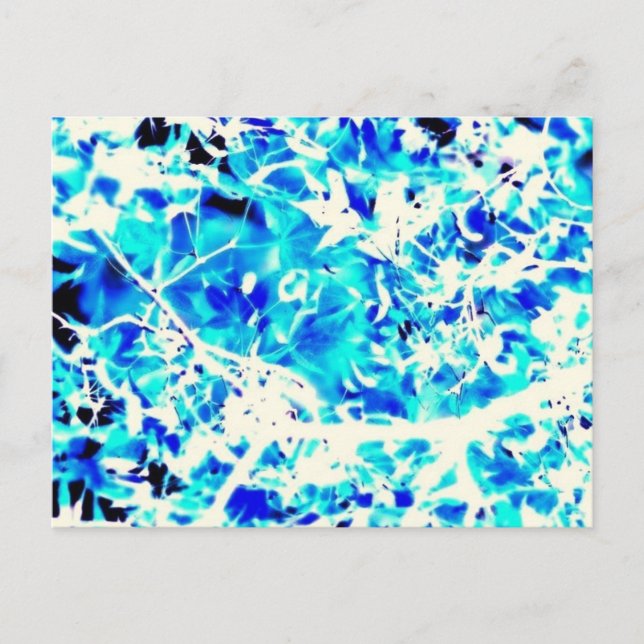 Cartão Postal Folhas (Frente)