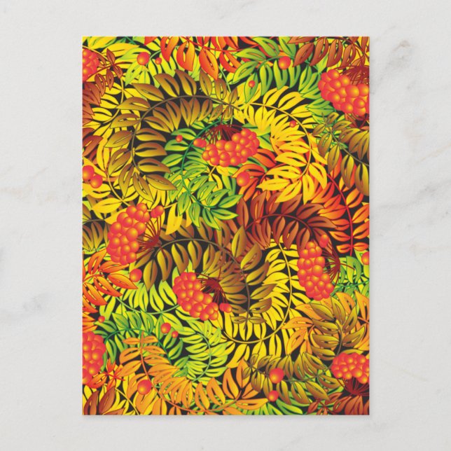 Cartão Postal folhas de amora de outono (Frente)