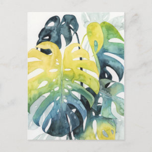 Cartão Postal Folhas de Árvore de Palm Sunset de Aquarela