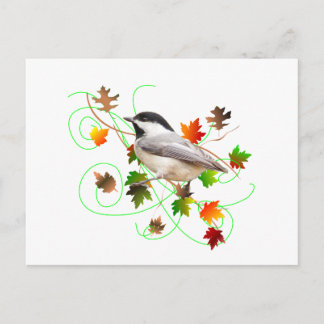Cartão Postal Folhas de Chickadee Cair