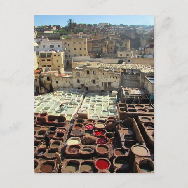 Cartão Postal folhas de curtaria (Frente)