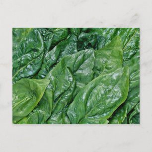 Cartão Postal Folhas de espinafres