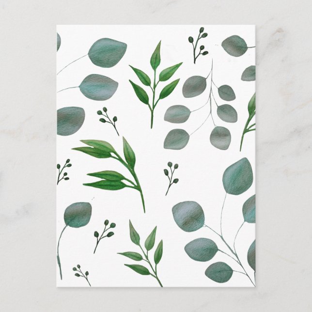 Cartão Postal Folhas de eucalipto (Frente)
