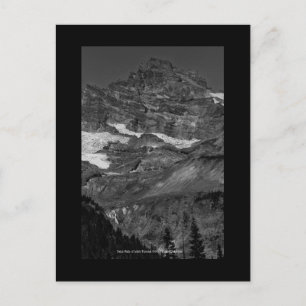 Cartão Postal Folhas de fadas de Pequeno Tahoma