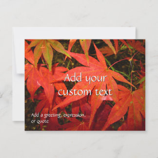 Cartão Postal Folhas de Maple Crimson - Personalizadas