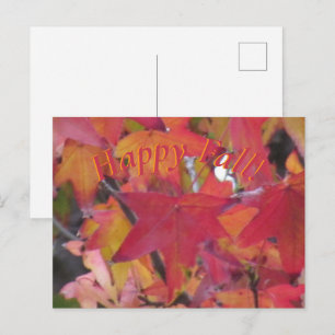 Cartão Postal - Folhas de Outono