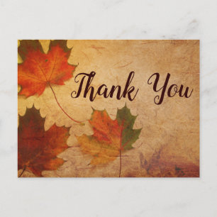 Cartão Postal Folhas de outono com tema do outono