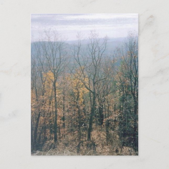 Cartão Postal Folhas de outono - Geórgia (Frente)