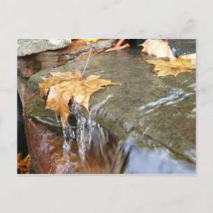 Cartão Postal Folhas de Outono na Cachoeira II Fotografia de Out