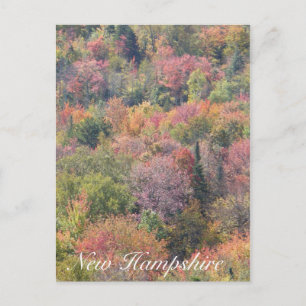 Cartão Postal Folhas de Outono, Parque Estadual Franconia Notch,