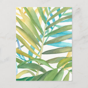 Cartão Postal Folhas de Palma Tropicais