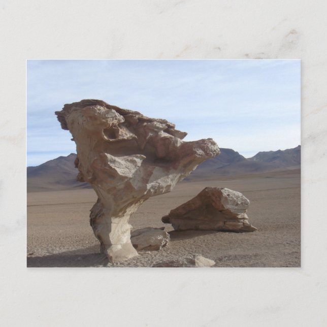 Cartão Postal Folhas De Pedra (Frente)