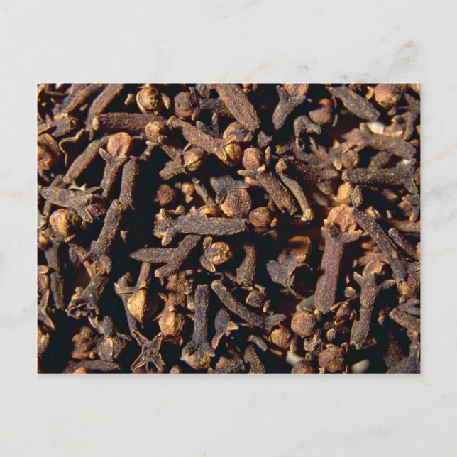 Cartão Postal Folhas inteiras (Frente)