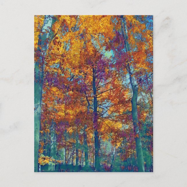 Cartão Postal Folhas roxas (Frente)