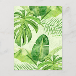 Cartão Postal Folhas Tropicais Exóticas Grandes Verdes