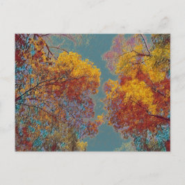 Cartão Postal Folhas Vermelhas