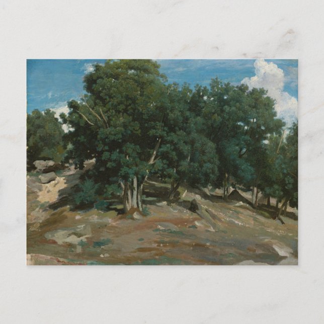 Cartão Postal Fontainebleau Oak Trees (Frente)