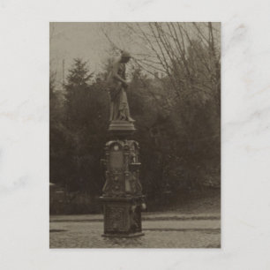 Cartão Postal Fonte de bebendos no Wright Park