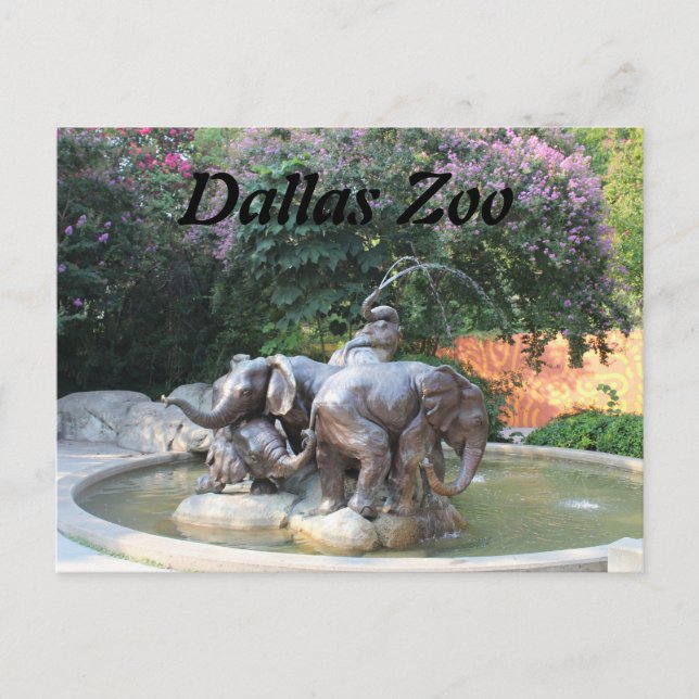 Cartão Postal Fonte do Elefante (Frente)