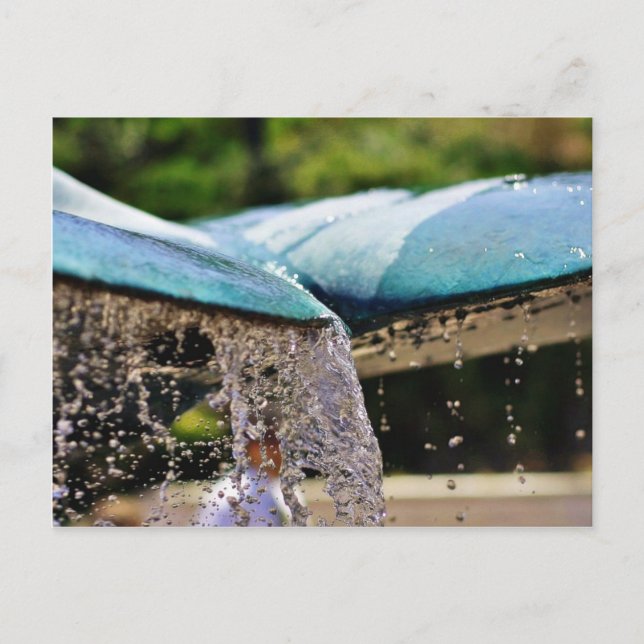 Cartão Postal Fontes Do Aquário De Birch Em La Jolla (Frente)