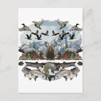 Cartão Postal Fora da vida