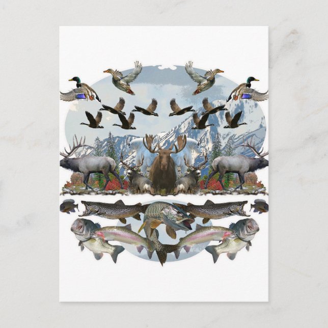 Cartão Postal Fora da vida (Frente)