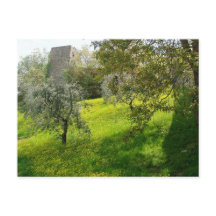 Fora das paredes de San Gimignano