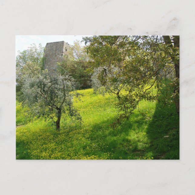 Cartão Postal Fora das paredes de San Gimignano (Frente)