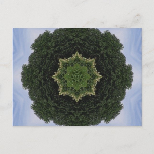 Cartão Postal Forest Mandala (Frente)